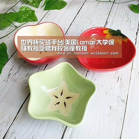 世界杯买球网站
