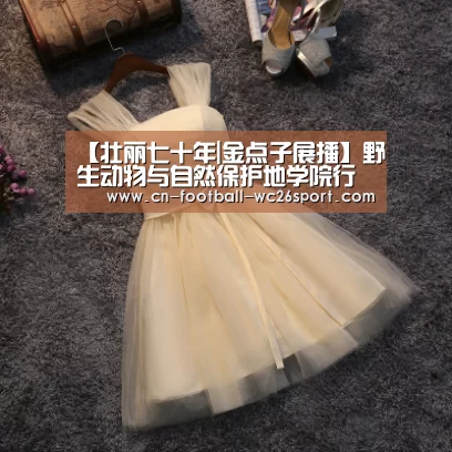 世界杯买球