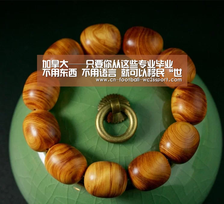 加拿大——只要你从这些专业毕业 不用东西 不用语言 就可以移民“世界杯买球平台”(图4) 世界杯买球