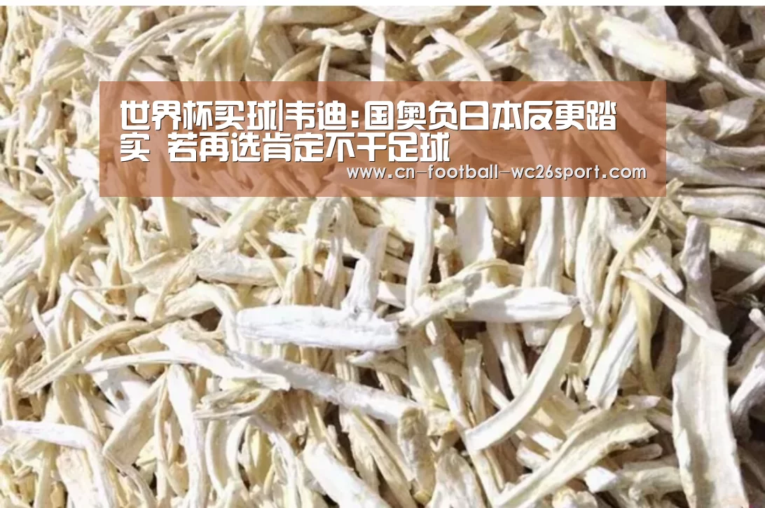 世界杯买球