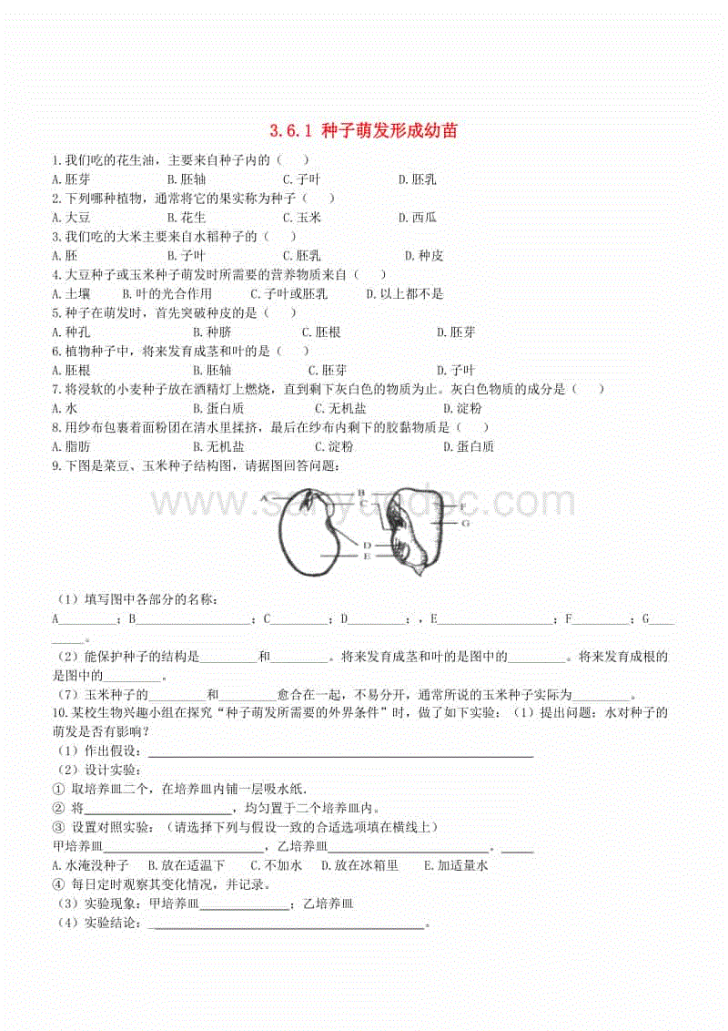 世界杯买球