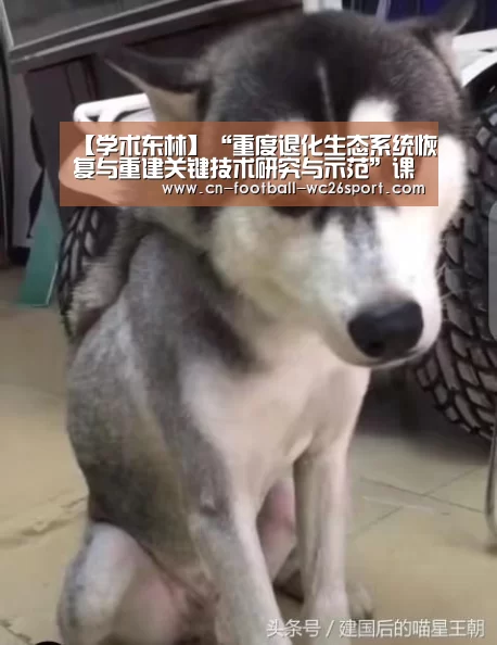 【学术东林】“重度退化生态系统恢复与重建关键技术研究与示范”课题通过验收【世界杯买球】(图2) 世界杯买球平台