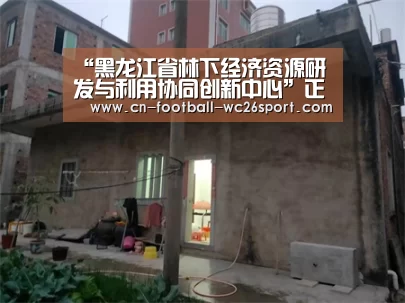 世界杯买球