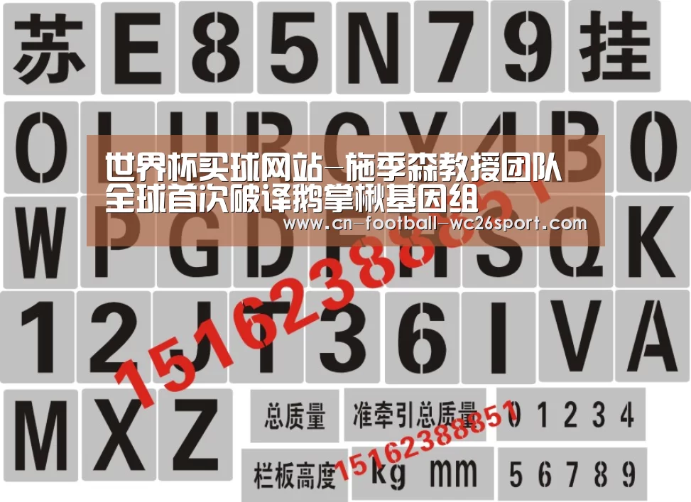 世界杯买球网站