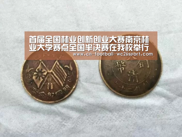 世界杯买球网站