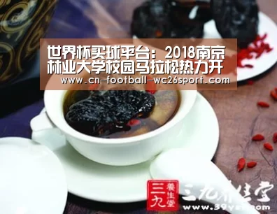 世界杯买球网站