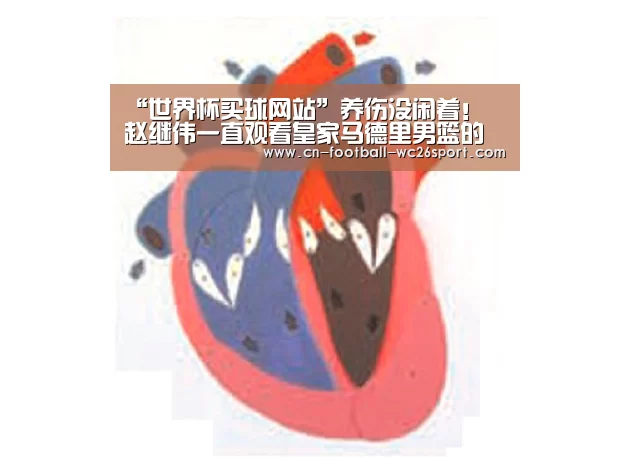 世界杯买球