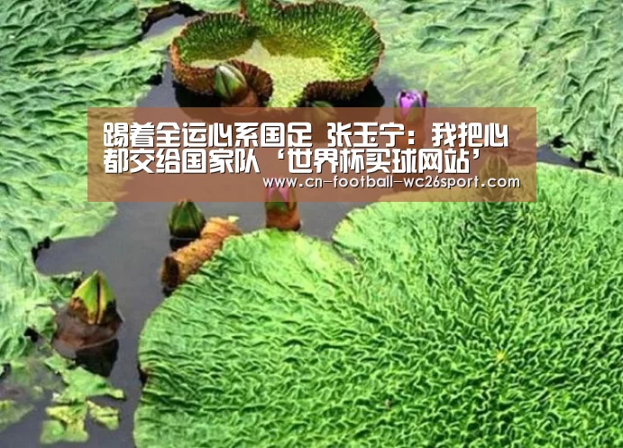 世界杯买球网站