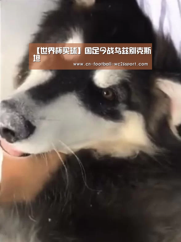 【世界杯买球】国足今战乌兹别克斯坦